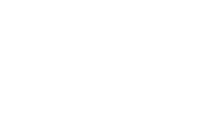 Bearwood Labs Logo